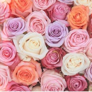 Meet your Posher, Cortni